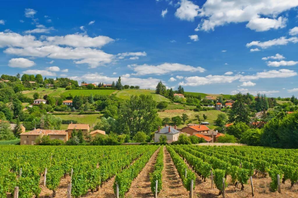 T2 Tout Equipe Au Beau Milieu Du Centre Historique Daire Villefranche-sur-Saône Dış mekan fotoğraf